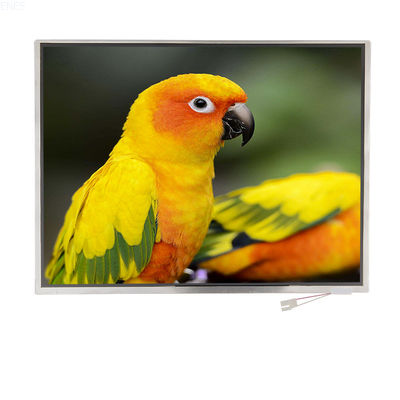 12.1 Zoll TFT-LCD mit 1024x768 Auflösung LVDS-Schnittstelle mit individueller FPC und TP