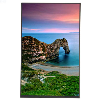 10.1'' TFT LCD дисплейный модуль с разрешением 1200x1920 точек интерфейс MIPI